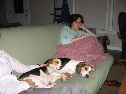 Amy and the Beagles1